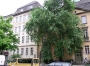 Ansicht vorher